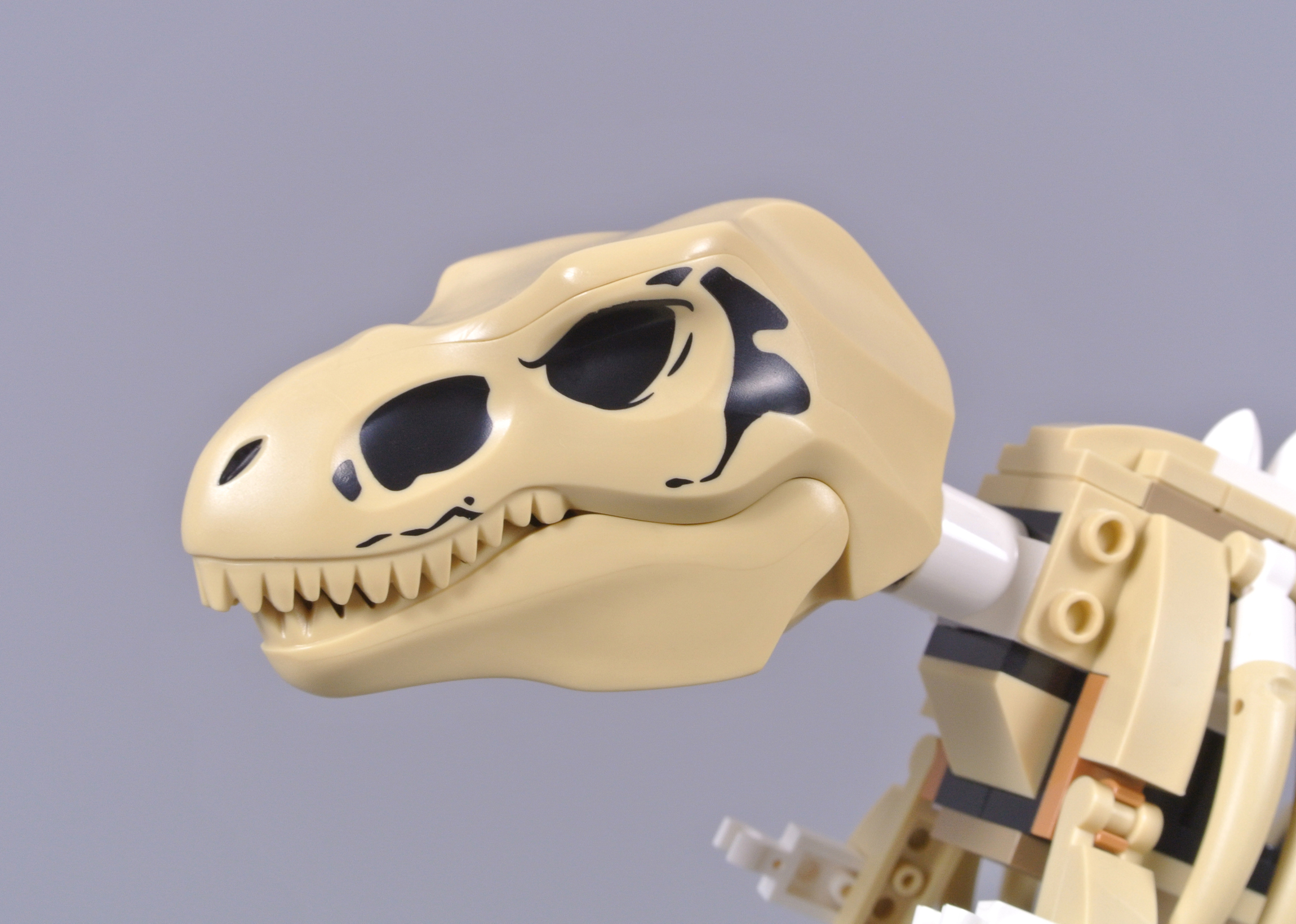 LEGO Jurassic World 76940 T. rex Dinosaur Fossil Exhibition review